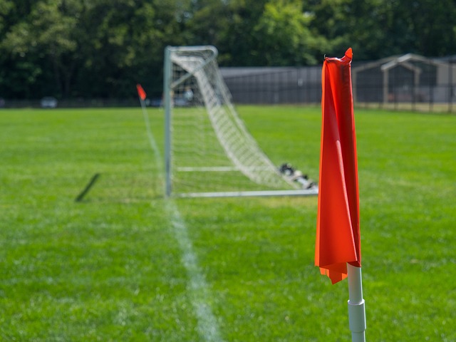 敢做泰山石 敢做泰山石