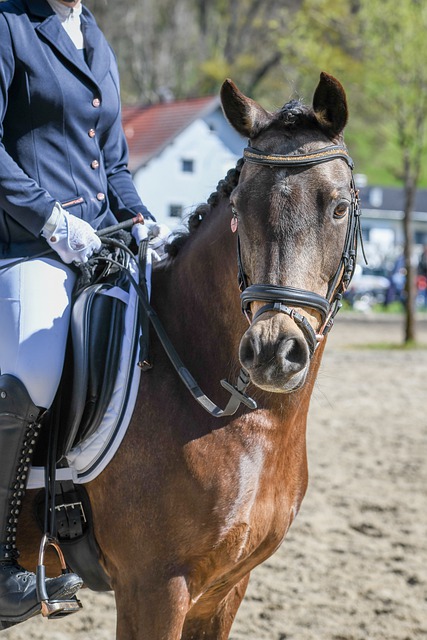 位置上接近 位置上接近