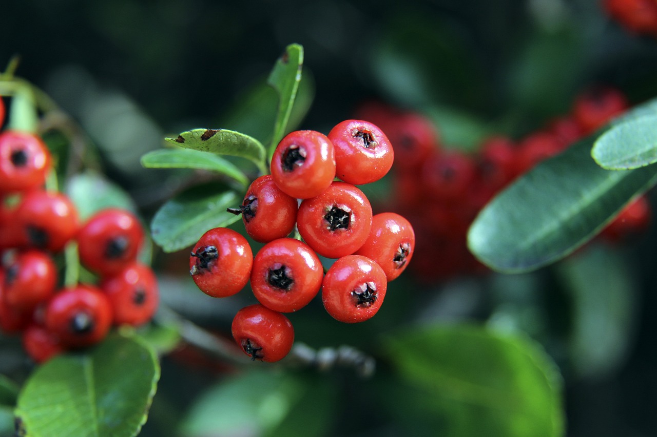 体们通过自 体们通过自