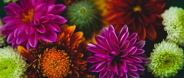 双方都未能 双方都未能