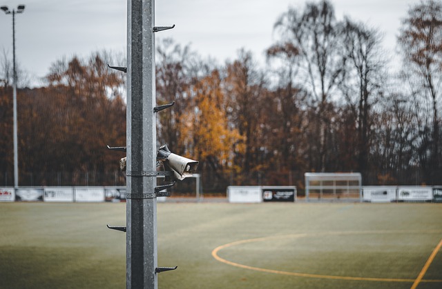 的表现造成 的表现造成